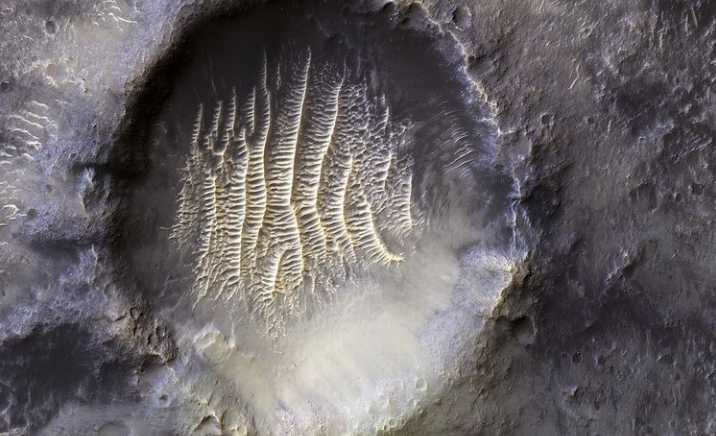 Mars NASA: মঙ্গলের মাটিতে ভিনগ্রহী! নাসার ছবিতে জল্পনা