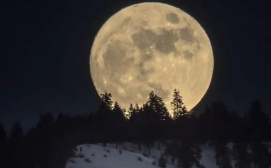 Moon: নিজস্ব গন্ধ রয়েছে চাঁদের! জানেন?