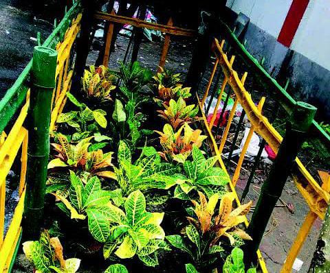 Green Verge: তিলোত্তমা কলকাতার রাজপথে ‘গ্রিন ভার্জ’