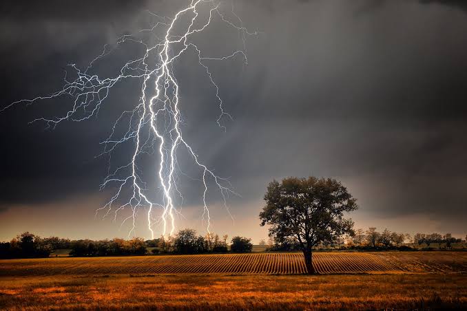 Lightning: বজ্রাঘাতে প্রাণ গেল অষ্টম শ্রেণির ছাত্রের