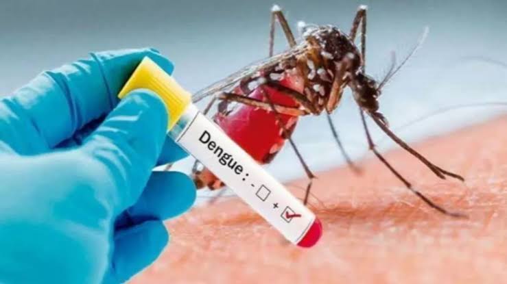 Dengue: ডেঙ্গুর চোখ রাঙানি কমছেই না, মৃত আরও ২