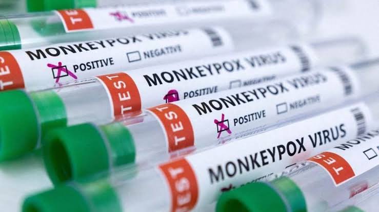 Monkey Pox: দেশে খোঁজ মিলল মাঙ্কি পক্সে আক্রান্ত ষষ্ঠ ব্যক্তির