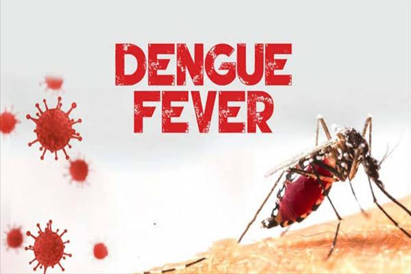 Dengue: রাজ্য উদ্বেগজনক ডেঙ্গু পরিস্থিতি! একদিনে আক্রান্ত প্রায় ৩০০