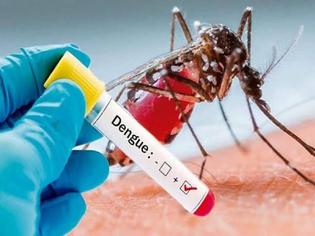 Dengue: ফের মৃত্যু কলকাতায়, ক্রমশ আতঙ্ক বাড়াচ্ছে ডেঙ্গি!