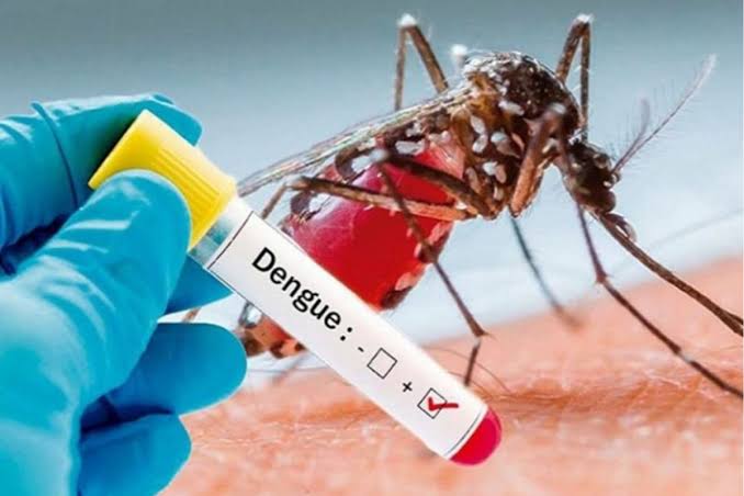 Dengue: রাজ্যে ভয়াবহ ডেঙ্গি সংক্রমণ! একদিনে মৃত্যু তিন জনের!