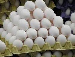 Egg Price: নাজেহাল মধ্যবিত্ত! বড়দিনের আগেই লাফিয়ে বাড়ছে ডিমের দাম