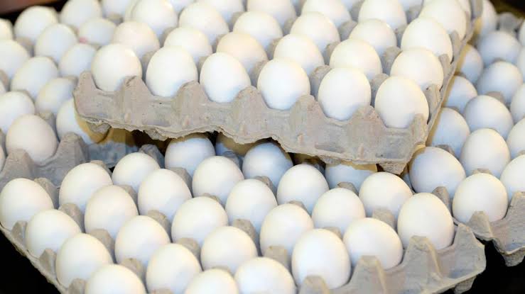 Egg Price Hike: মধ্যবিত্তের পকেটে টান! আরও বাড়ল ডিমের দাম