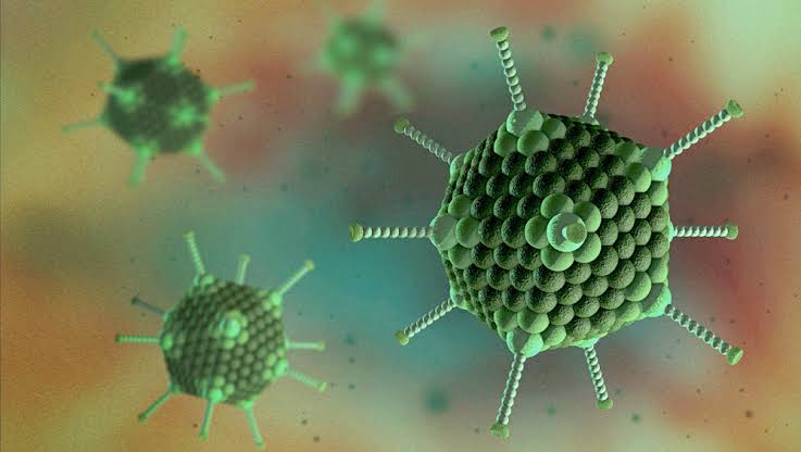 Adenovirus: শহর জুড়ে অ্যাডিনোভাইরাসের থাবা! কীভাবে প্রতিরোধ করবেন?