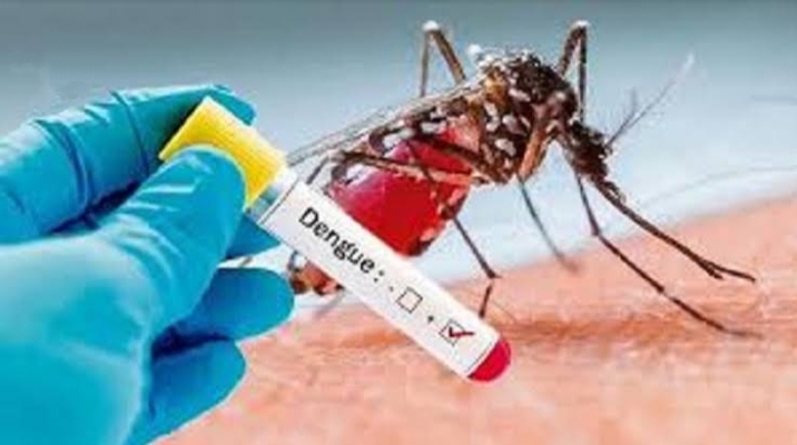 Dengue: শহর কলকাতায় ফের ডেঙ্গুর প্রকোপ! মৃত্যু ১০ বছরের ছাত্রীর