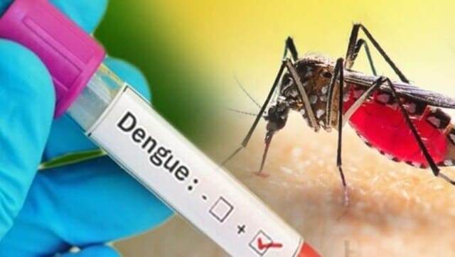 Dengue: গোটা দেশের মধ্যে সবথেকে বেশি ডেঙ্গি সংক্রমণ বাংলায়! শীর্ষে কোন জেলা?