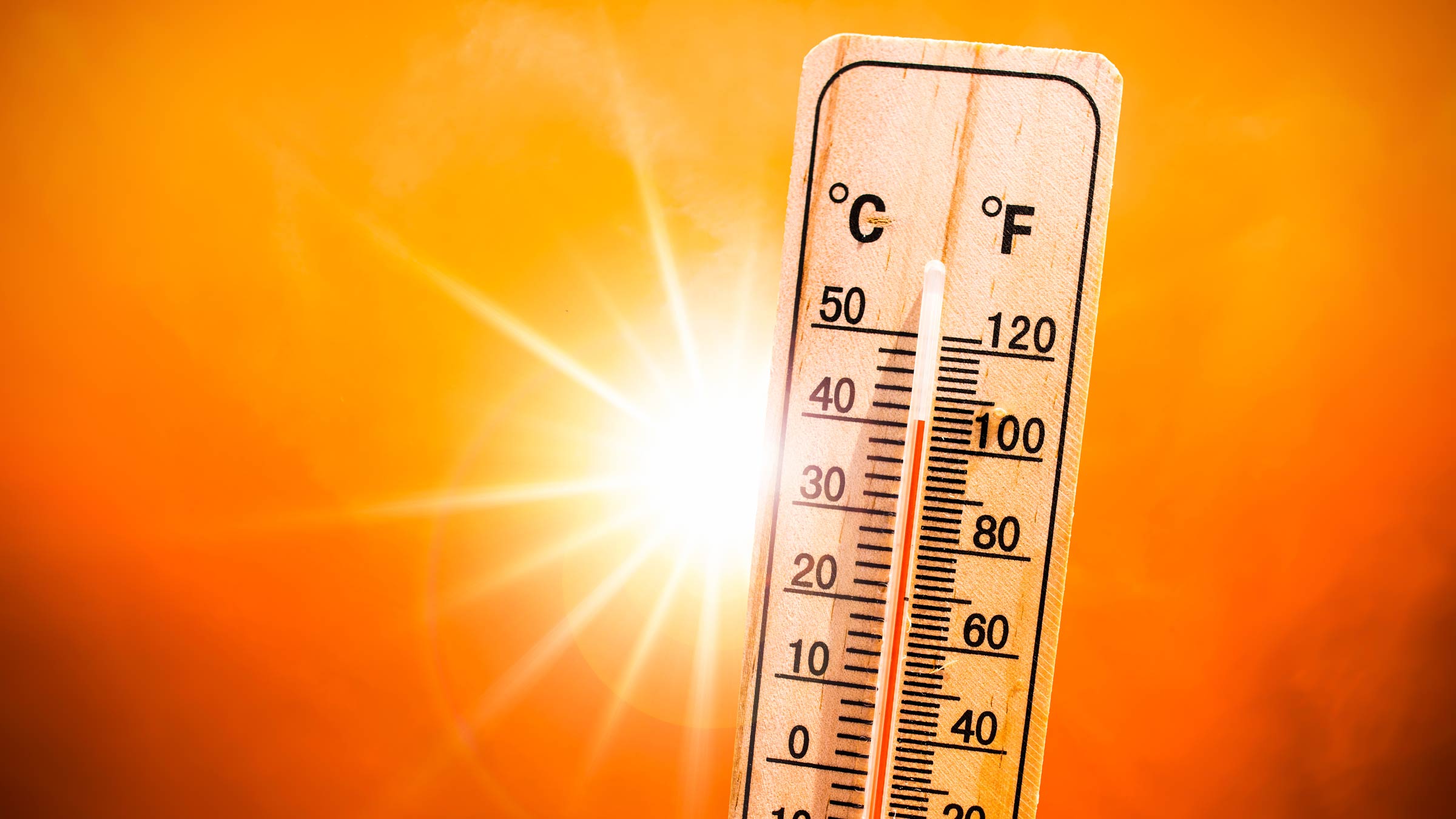 Heat Wave: চলতি মরসুমের উষ্ণতম দিন! আজ তাপমাত্রা কত ছিল কলকাতায়?